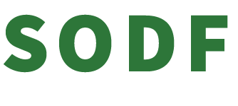 SHIELD OF DAVID FOUNDATION logo